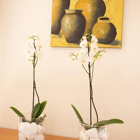 Amelia In Coral Bay With Private Pool And Close To A Sandy Maa