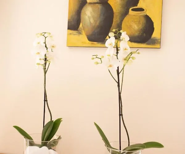 Amelia In Coral Bay With Private Pool And Close To A Sandy Maa